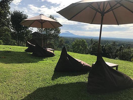 WhatsApp Image 2024-01-03 at 09.14.16 (1)