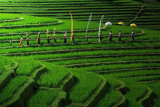 WhatsApp Image 2024-01-03 at 09.14.16 (1)