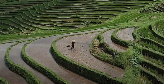 Screenshot 2024-05-13 134703